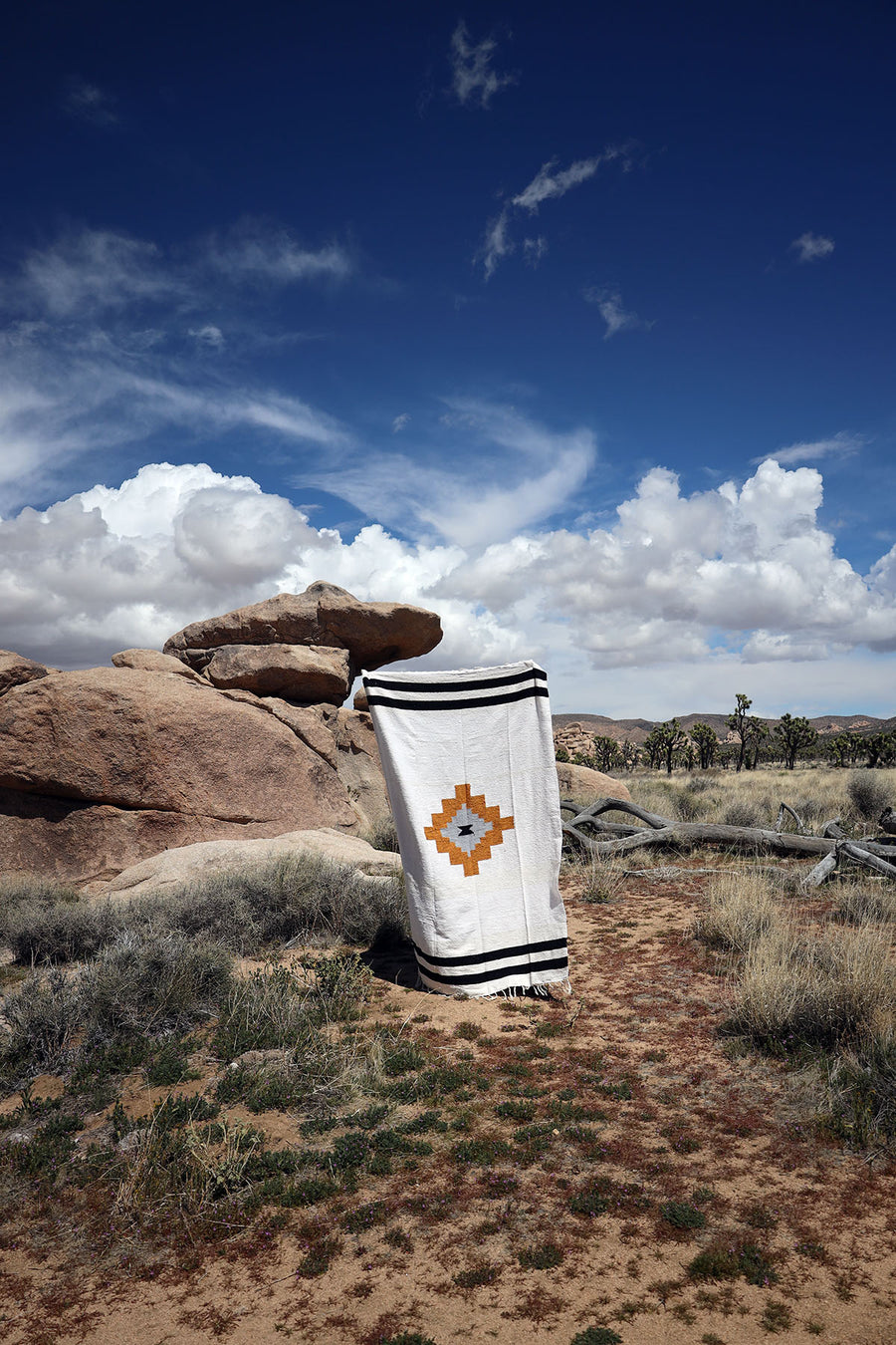 Taos Two (Canyon ) // Handwoven Blanket