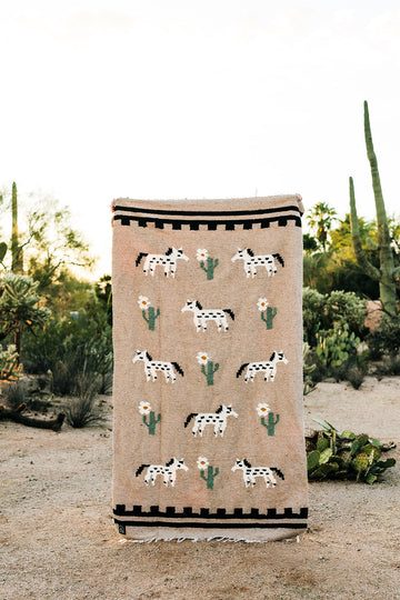 Painted Desert // Handwoven Blanket
