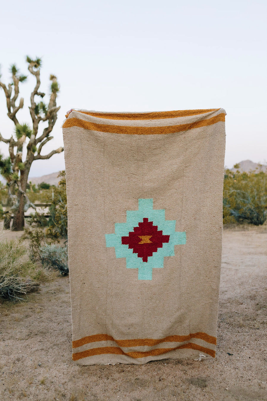 Taos Two (Mesa- Aqua) // Handwoven Blanket