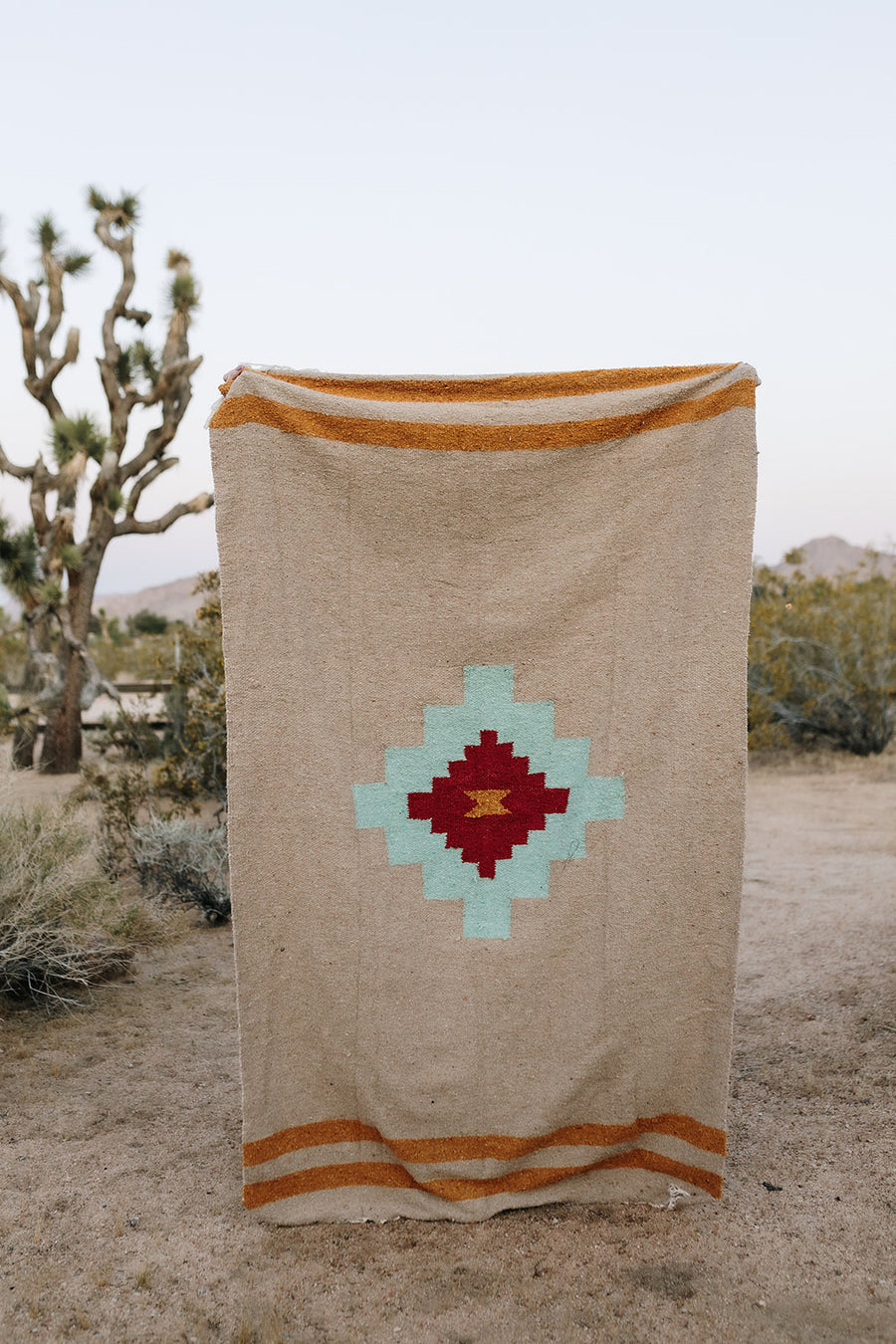 Taos Two (Mesa- Aqua) // Handwoven Blanket