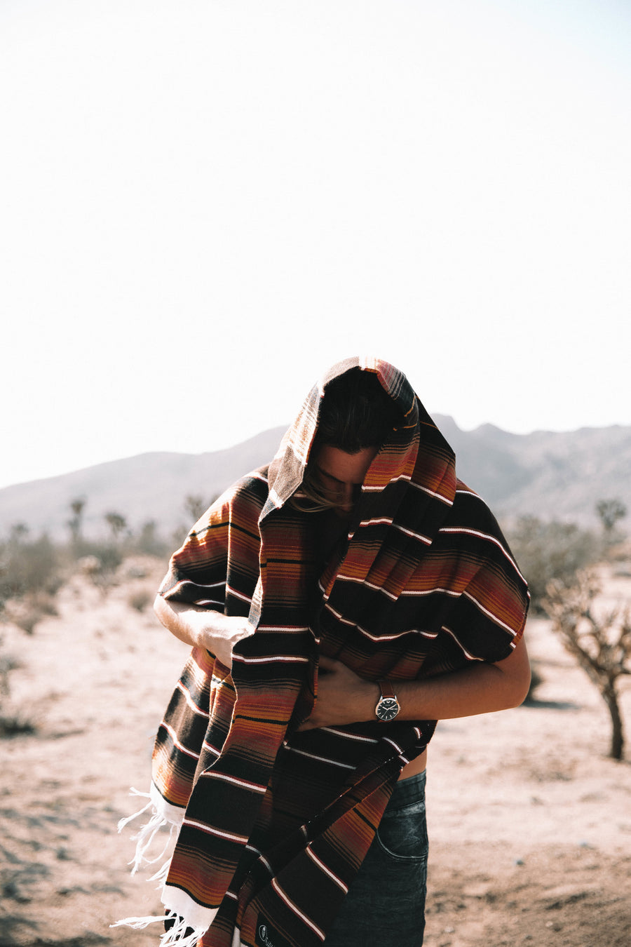 Mojave Lines Serape (Coffee) // Handwoven Blanket